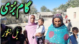 Gámborri |addá Parig | balochistanvlogs2020 #baloch #tradition #balochi