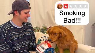 My Dogs Test 1 Star Christmas Presents