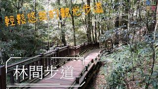 [苗栗泰安] 林間步道 / Linjian Trail