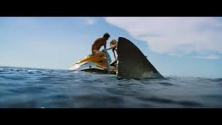 Shark Bait - Trailer (In Cinemas 30 June)