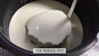 자고 일어나면 되어있는 홈메이드 요거트!ㅣ밥솥 요거트ㅣ재료는 단 세 개ㅣ초간단ㅣHomemade Yogurt