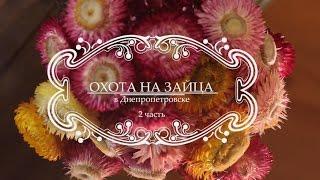 Охота на зайца. 2 серия. Днепропетровская область.