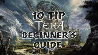 10 Tip Beginner's Guide - Tera