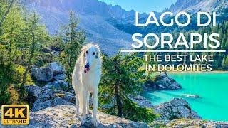 Hiking Lago Di Sorapis in 4K - Trail 215 Dolomites Hiking With Dog