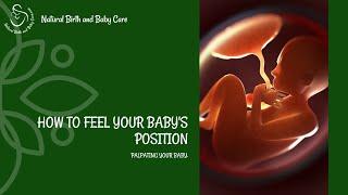 How to Feel Your Baby's Position - Palpating Your Baby