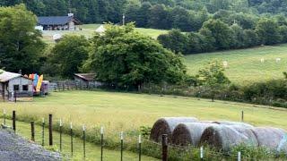 Discover Alabama Extension: Graham Farm