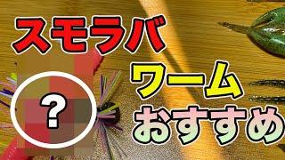 【バス釣り】スモラバのトレーラーワームおすすめ!!カラー選びや使い分けについても徹底解説!!【冬釣行】【ストレートワーム】【バスフィシング】