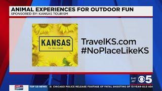 Outdoor animal experiences to explore in Kansas