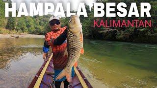 MANCING IKAN HAMPALA BESAR DI PEDALAMAN KALIMANTAN BARAT