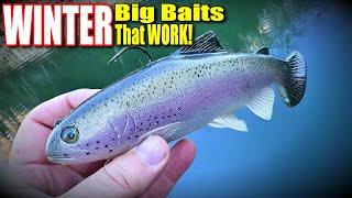 BIG Winter Bass Eat BIG Winter Baits