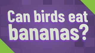 Can birds eat bananas?