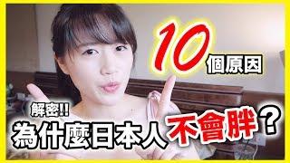 解密!!１０個原因日本人為什麼不會胖？｜MaoMaoTV