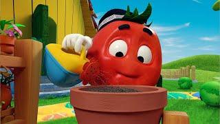 TOMATO DOPPI Episode 5 Garden VIDEOS FOR KIDS