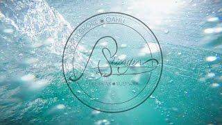 Stinger Surf - Bees Wax Surf Wax