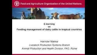 FAO webinars: Feeding management of dairy cattle in tropical countries