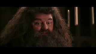 There's no Hogwarts without you, Hagrid