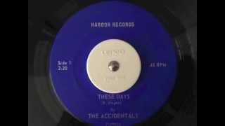 The Accidentals - These Days - Harbor Records