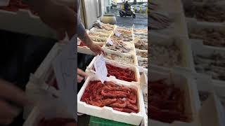  Pesce italiano di alta qualità 