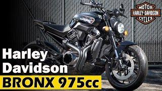 2021 HARLEY-DAVIDSON BRONX :: 975cc Streetfighter Revolution Max