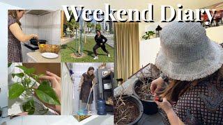 GET MOTIVATED, Spend the weekend with me, Fitness, Self Care, Cafe, How to Propagate Money Plant