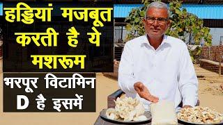 हड्डियां मजबूत करती है ये मशरूम, भरपूर विटामिन D और B है इसमें || Technical Farming ||