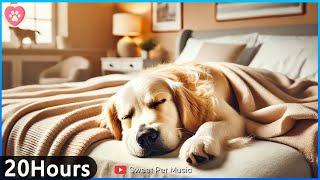 20 Hours of Calming Music for DogsAnti Separation Anxiety Relief MusicRelax my dog🩷