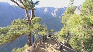 La Palma Wandelen: Cumbrecita - Caldera de Taburiente