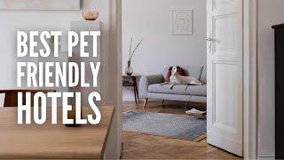 25 Best Pet Friendly Hotels in the US