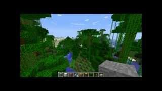Minecraft 1.2.3 Jungle Biome Montage