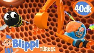 Blippi Arıların Nasıl Bal Yaptığını Keşfediyor  | Blippi Türkçe - Çocuklar için Eğitici Videolar