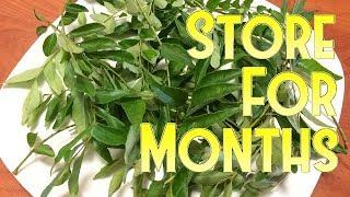 How to Store Curry Leaves For Months