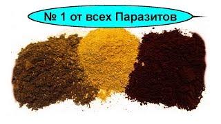 Супер тройчатка сбор от всех паразитов №1. Как приготовить и принимать тройчатку для 100% эффекта