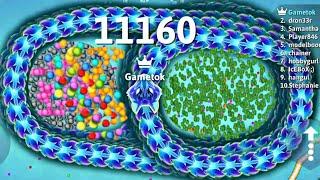 Most Delicious In Snake Io Epic Snakeio Gameplay Snake Game