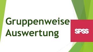 Gruppenweise Auswertungen in SPSS vornehmen