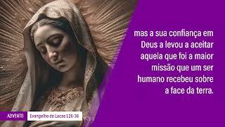 Evangelho de 20 de dezembro