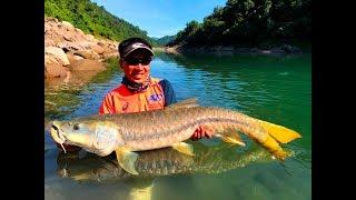 Monster Golden Mahseer & Copper Mahseer Adventure Part 2 (HD) / 印度金吉罗&铜吉罗探险钓游 Part 2（高清）