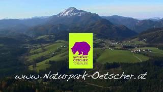 Naturpark Ötscher Tormäuer Flug durch wilde Schluchten