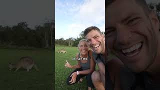 2 Americans Seeing Kangaroos for the First Time in Australia