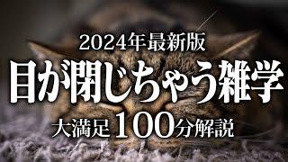 【睡眠導入】目が閉じちゃう雑学【リラックス】安心してお休みになってください