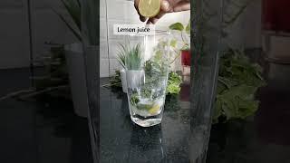 Fresh Mojito in 5 minutes  #mojito #cocktail