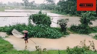 Traditional Fishing during Rainy season। Sylhet। Bangladesh।@justtimesbd982