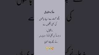 Urdu poetry Allama iqbal" New video please subscribe for more  #allamaiqbal #urdupoetry ur