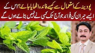 Dr. Faisal Syed Reveals Amazing Benefits of Mint Podena: Enhancing Mind, Body, and Soul Naturally