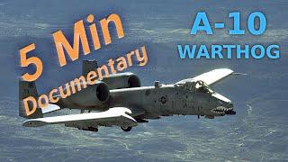 A-10 Thunderbolt II "Warthog" - 5 Minute Documentary