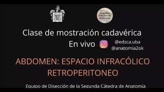 E4.1 | Mostración cadavérica: Espacio infracólico - Retroperitoneo | EDSCA | Anatomía 2 | FMed UBA