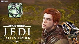 Голокрон и Трилла Судури, древнее хранилище на Богано в Star Wars Jedi: Fallen Order, Звездные Войны