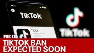 Lawmakers may pass a ban on TikTok this weekend