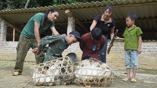 Thieves break into the farm in the middle of the night, daily life on the farm, SURVIVAL ALONE