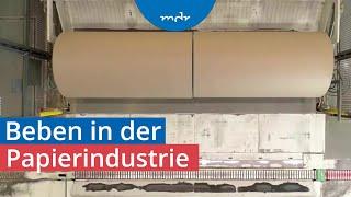 Werksschließung und Entlassungen: Mitteldeutsche Papierhersteller unter Druck | Umschau | MDR