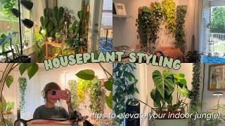 my fave ways to style houseplants  cozy indoor jungle vibes!